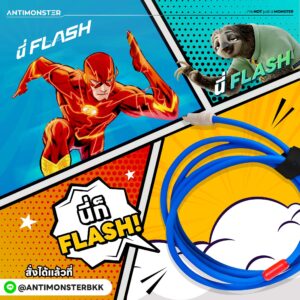 FLASH